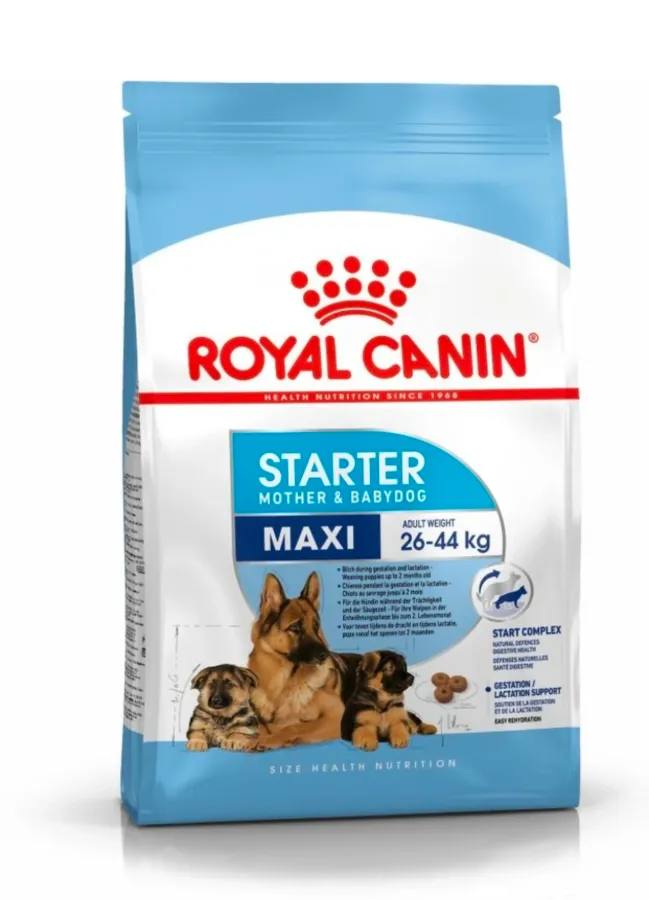 Royal Canin Maxi Starter Mother & Babdog Food, 1 Kg,Dry Food, Supports Complex Natural Defence & Digestive Health, Provides Gestation/Lactation Support, Supports Easy rehydration