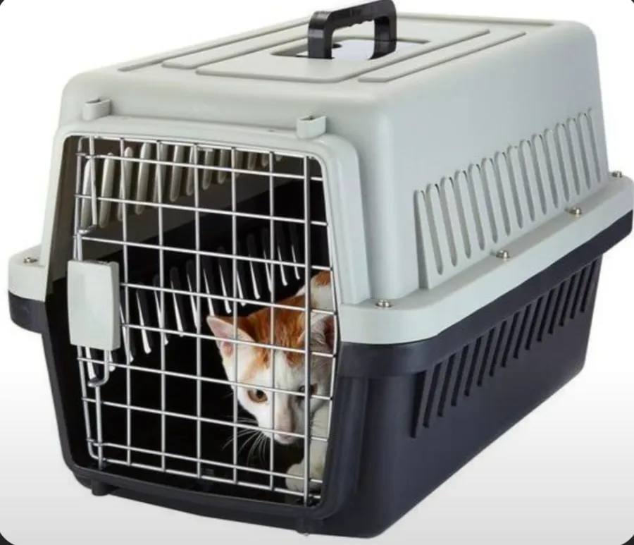 Breathable Foldable Plastic Outdoor Travel Vet Visit Airline Approved Pet Dog Cat Carrier Crate